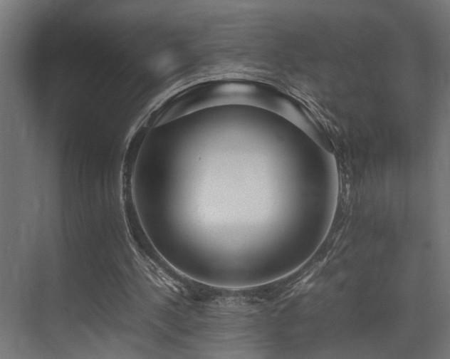 X0000075360244200609081223