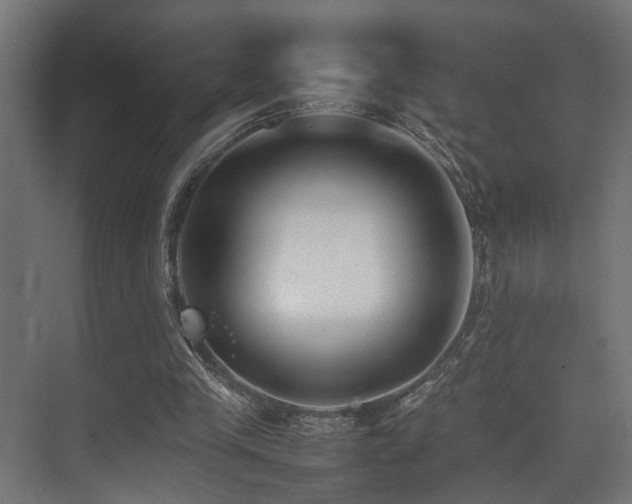 X0000075360245200609081223