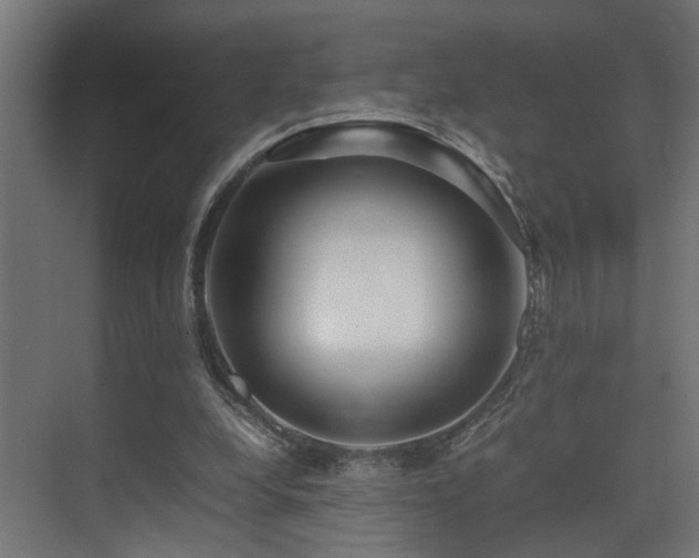 X0000075360248200609081223