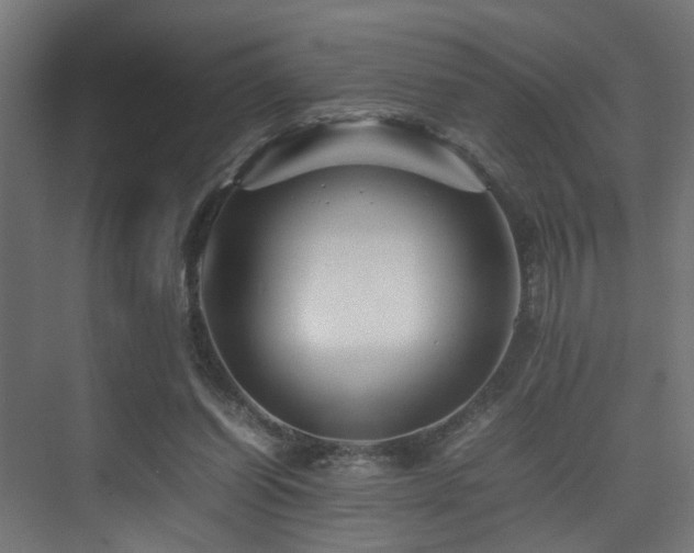 X0000075360254200609081223