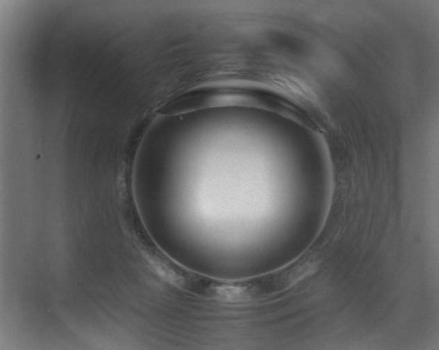 X0000075360265200609081223