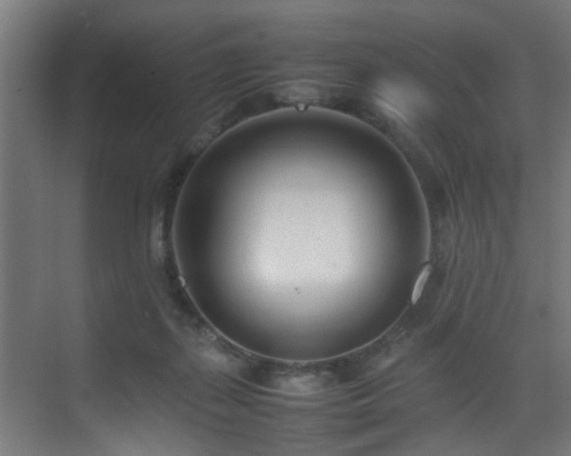 X0000075360267200609081223