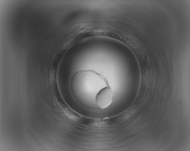 X0000075360278200609081223