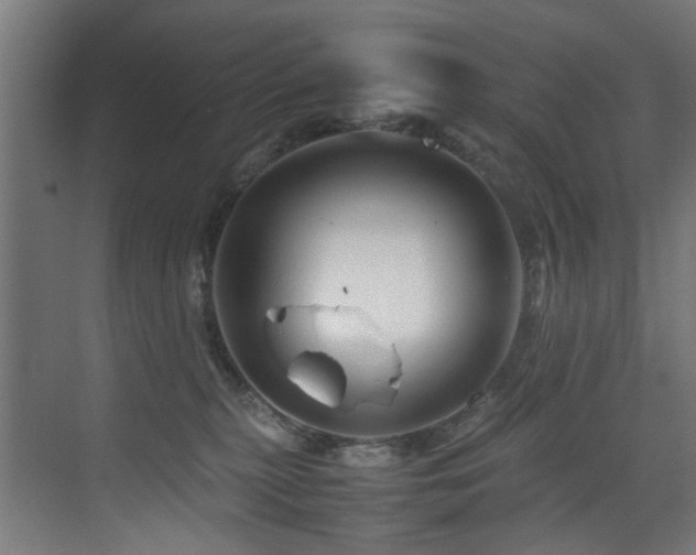 X0000075360279200609081223