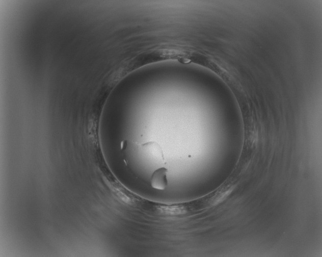 X0000075360281200609081223