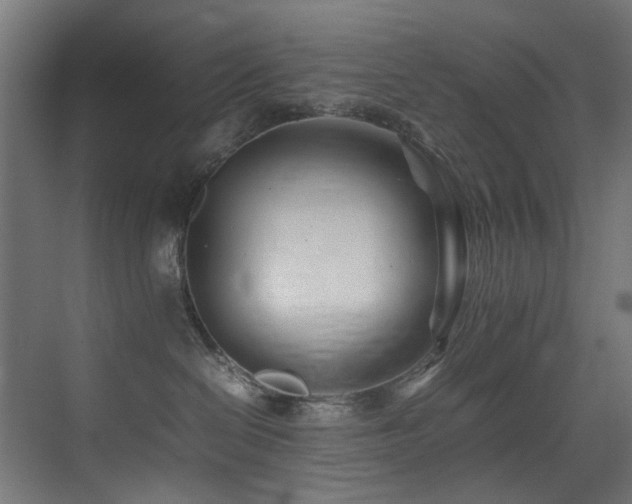 X0000075360286200609081223