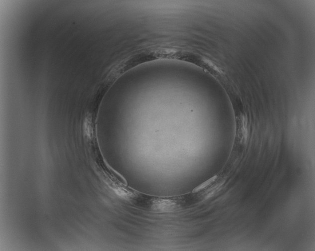 X0000075360287200609081223