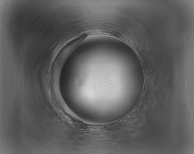 X0000075360289200609081223