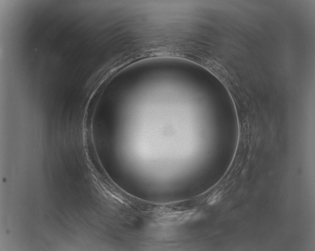 X0000075360290200609081222