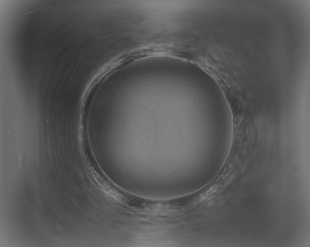 X0000075360293200609081222