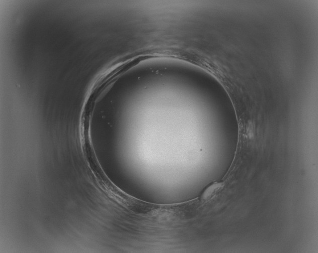 X0000075360294200609081222