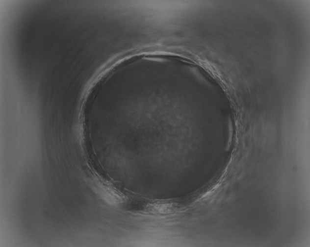 X0000075360295200609081222