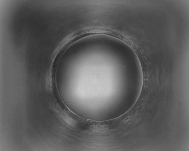 X0000075360296200609081222