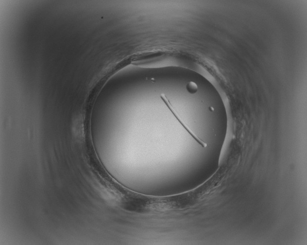 X0000075360299200609081222