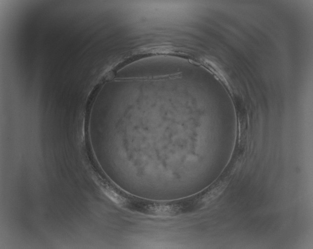 X0000075360301200609081222