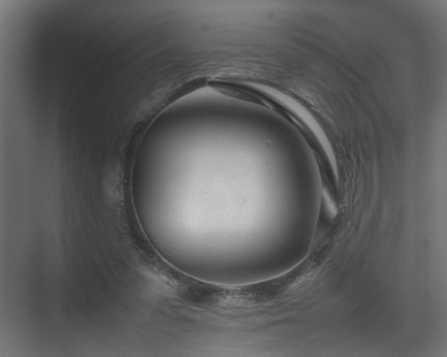 X0000075360303200609081222