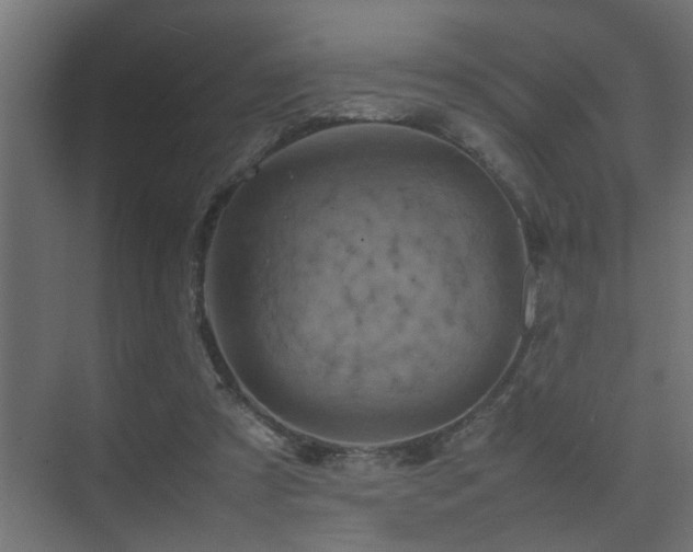 X0000075360305200609081222