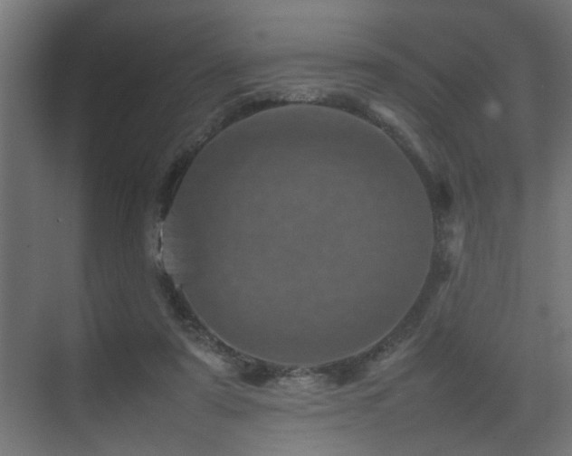 X0000075360307200609081222