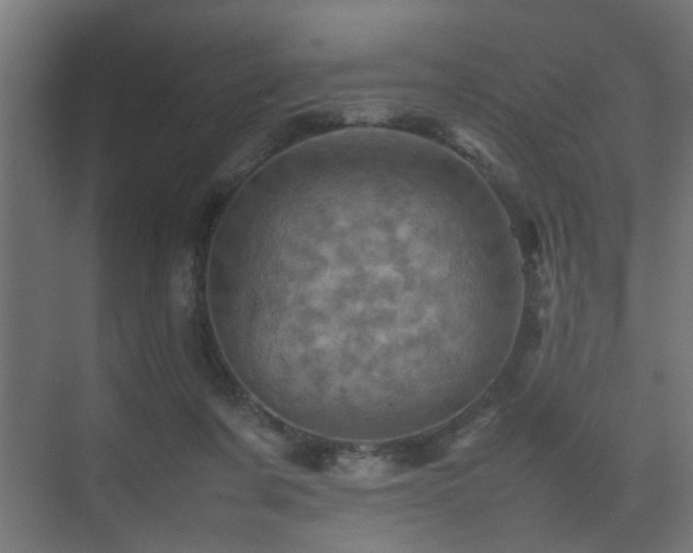 X0000075360311200609081222