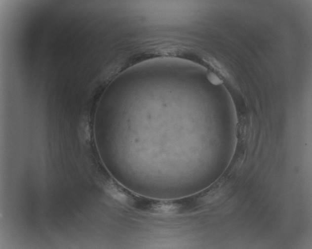 X0000075360313200609081222