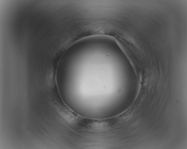 X0000075360314200609081222