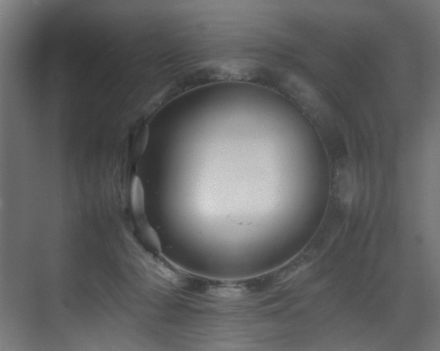 X0000075360318200609081222