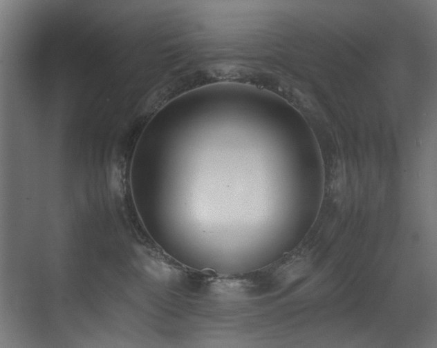 X0000075360332200609081222