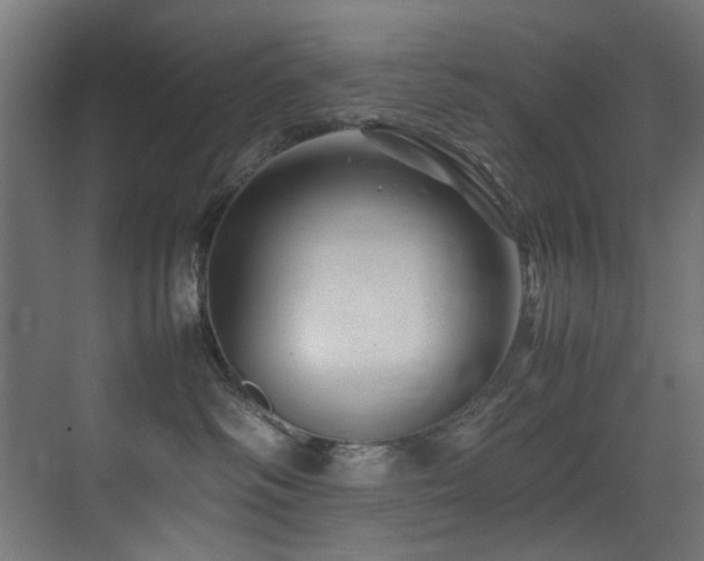 X0000075360334200609081222