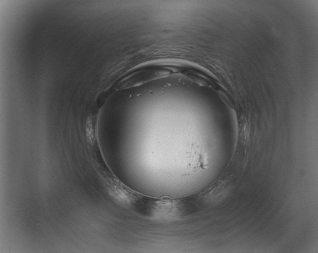 X0000075360335200609081222