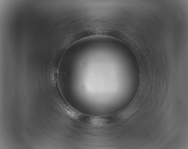 X0000075360336200609081222