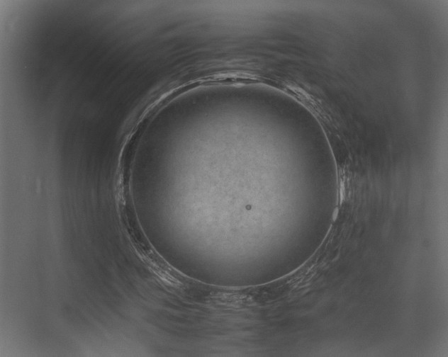 X0000075360339200609081221