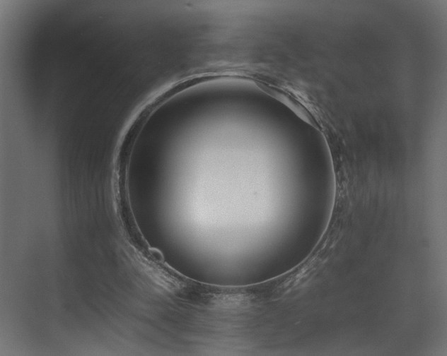 X0000075360342200609081221