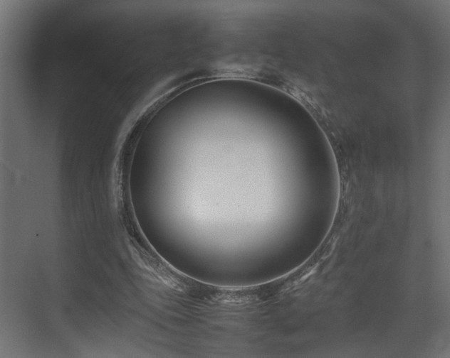 X0000075360343200609081221