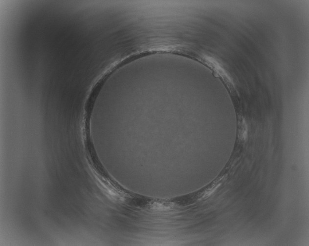 X0000075360346200609081221