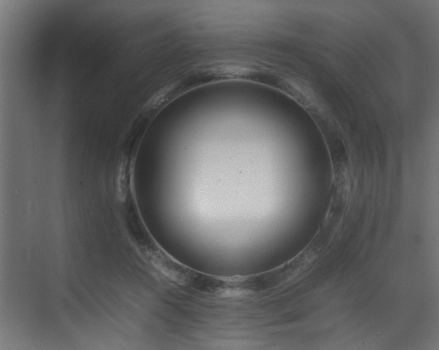 X0000075360360200609081221