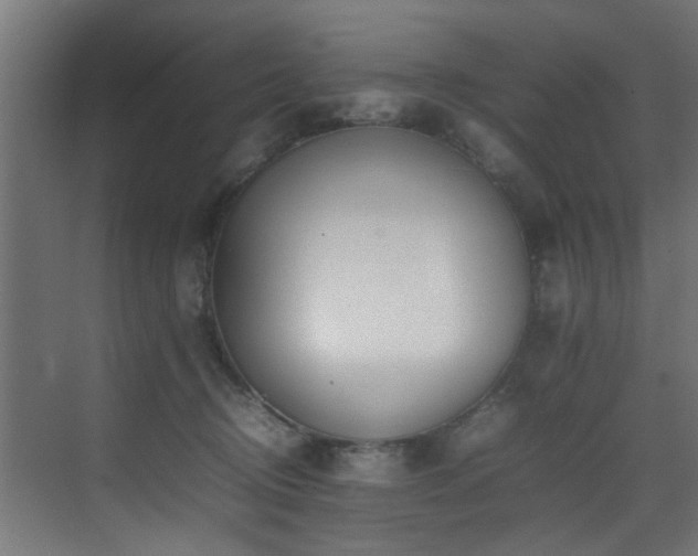 X0000075360370200609081221