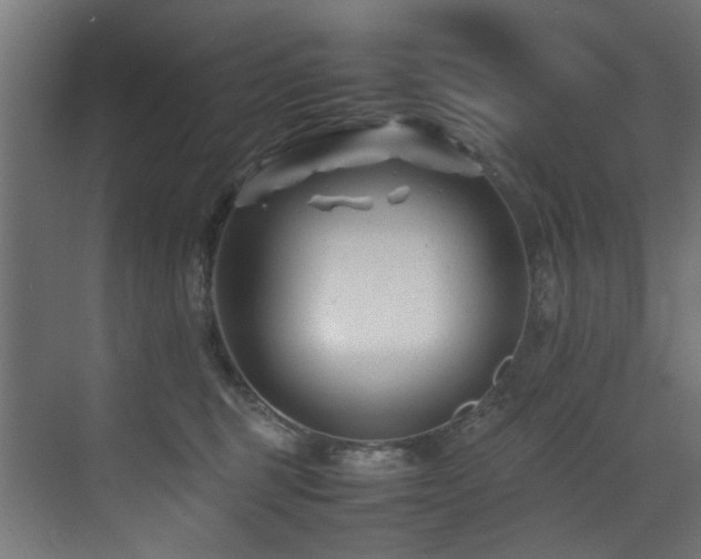 X0000075360375200609081222