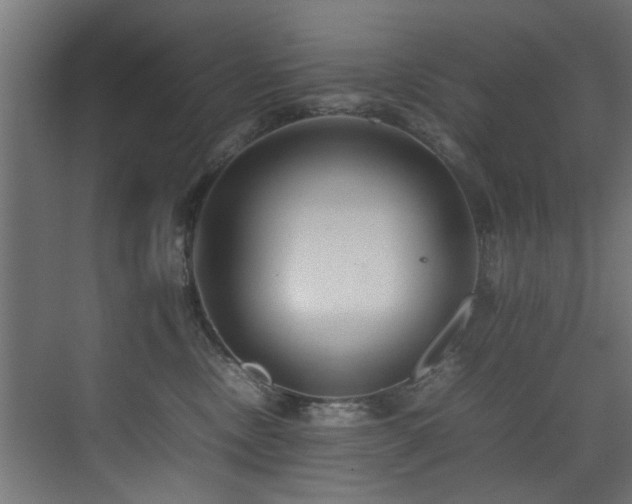 X0000075360378200609081222