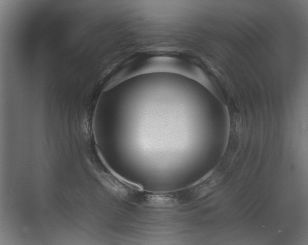 X0000075360380200609081222