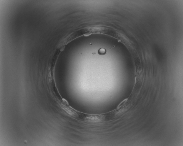 X0000075360381200609081222