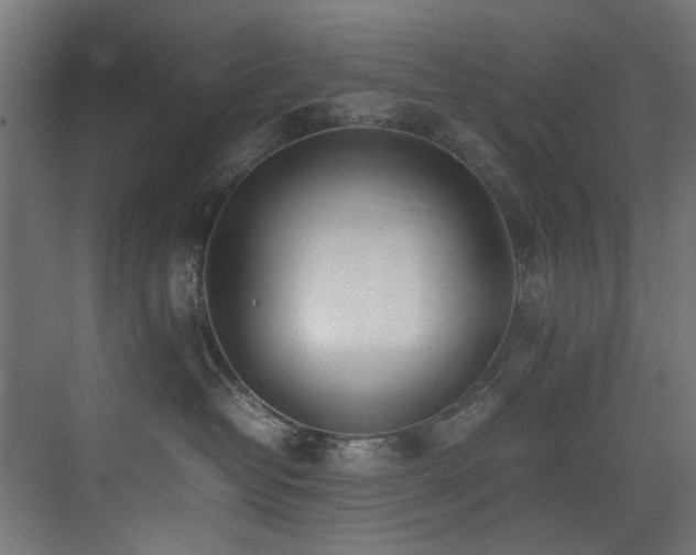 X0000075360382200609081222