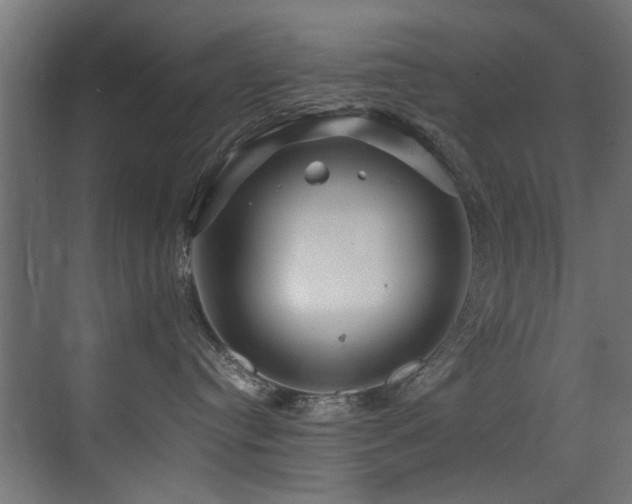 X0000075360384200609081222