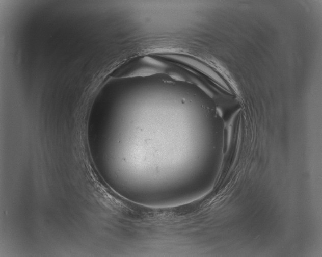 X0000075360385200609081221