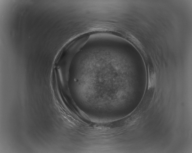 X0000075360387200609081221