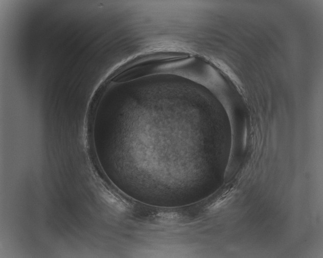 X0000075360391200609081221