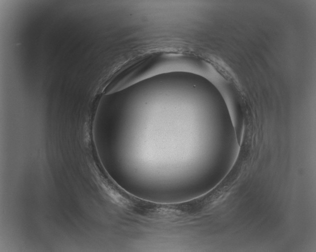 X0000075360393200609081221