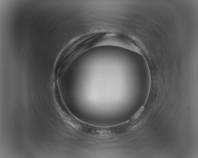 X0000075360395200609081221