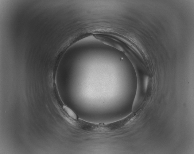 X0000075360397200609081221