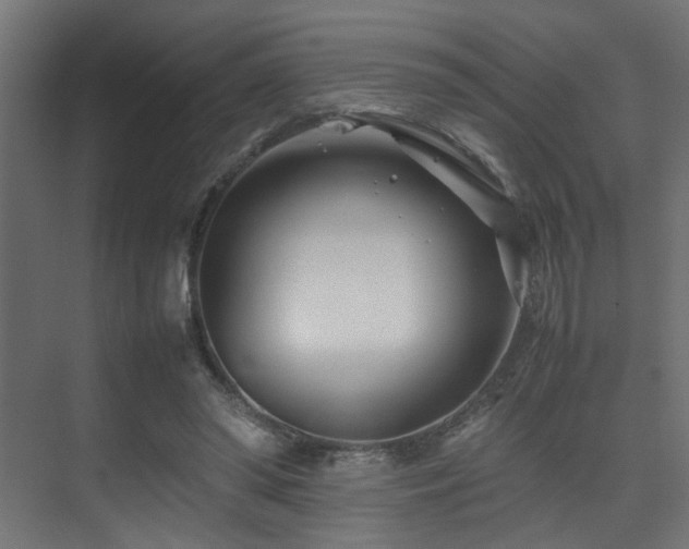 X0000075360398200609081221