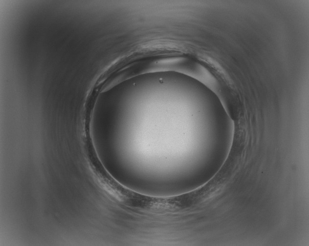 X0000075360399200609081221